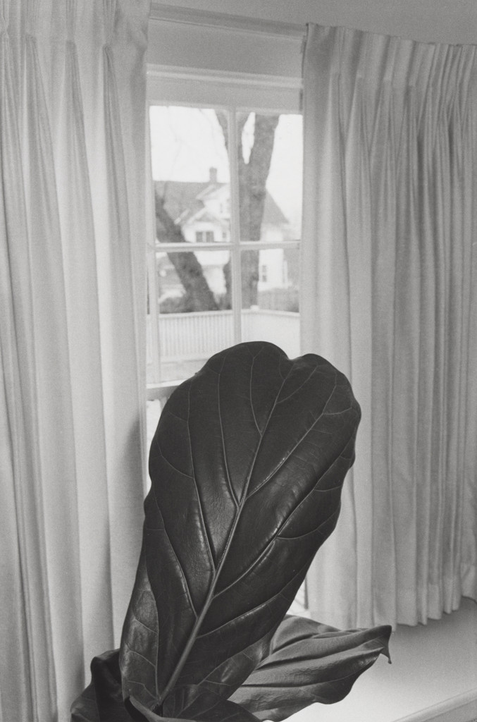 Washington D.C., Lee Friedlander, 1975