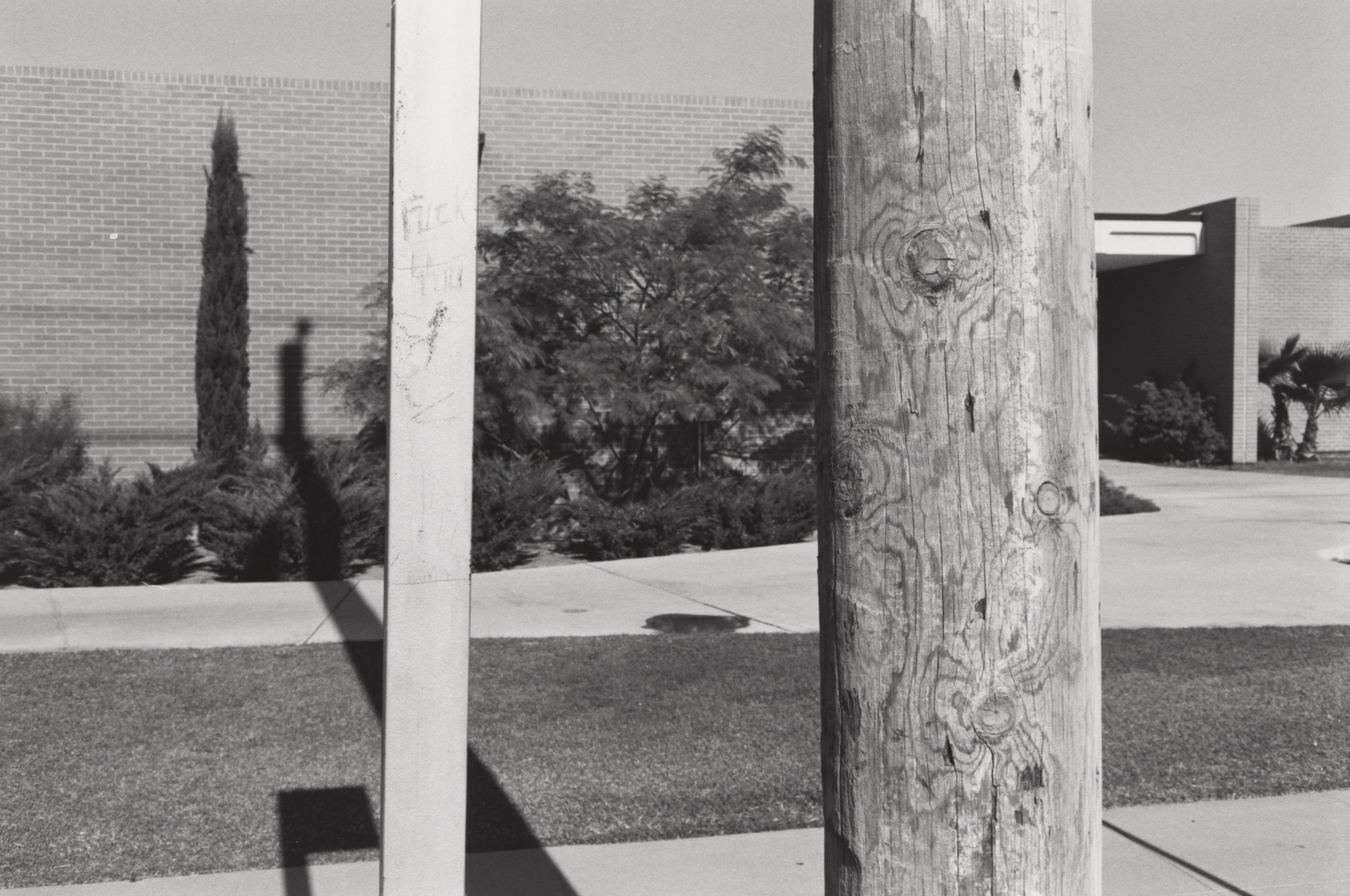 Lee Friedlander. Phoenix, Arizona. 1975 | MoMA