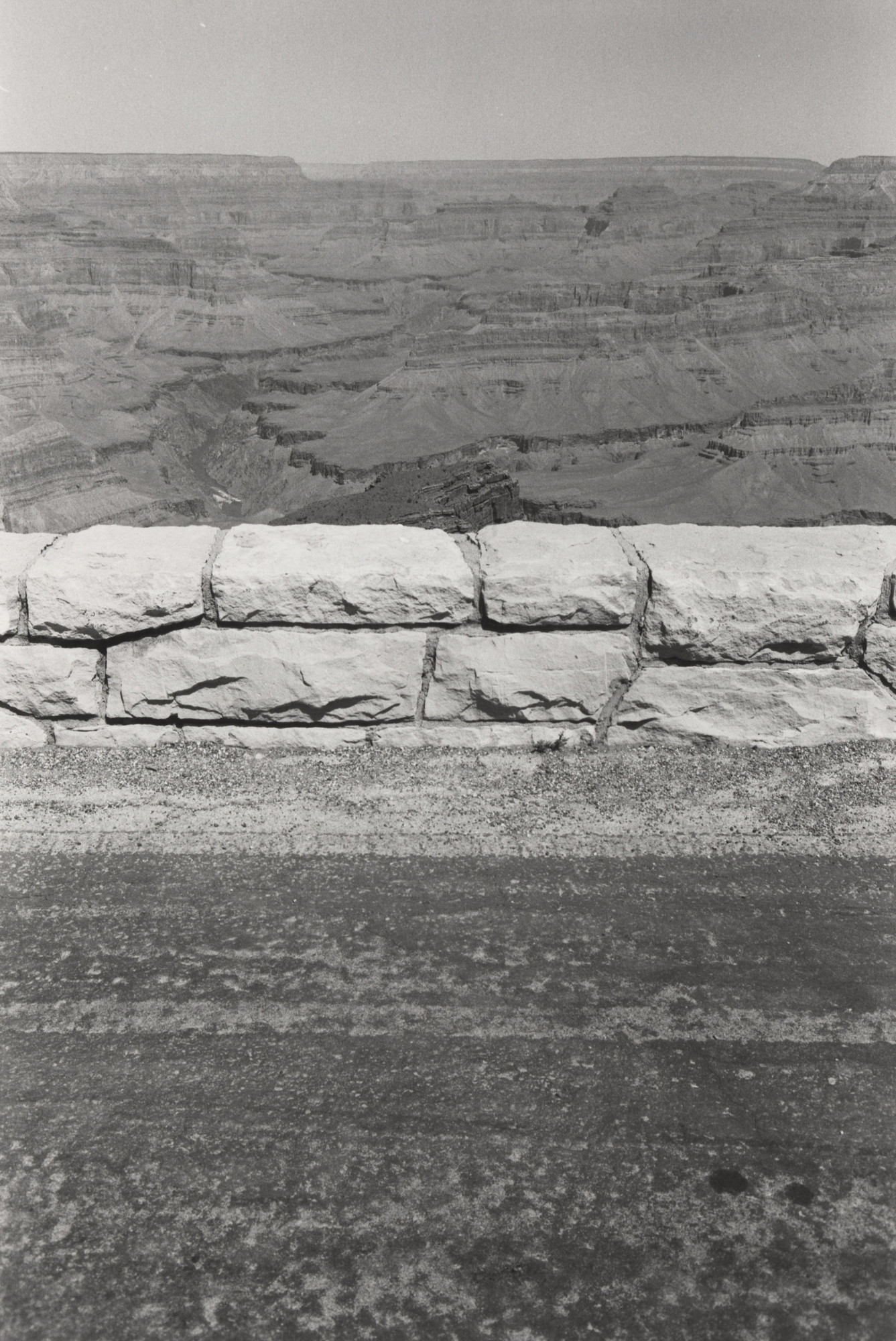 Lee Friedlander. Grand Canyon