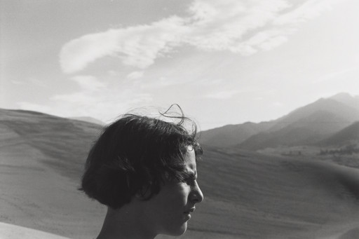 New Mexico / Lee Friedlander リー・フリードランダー W1siZiIsIjQ1ODM3OCJdLFsicCIsIm