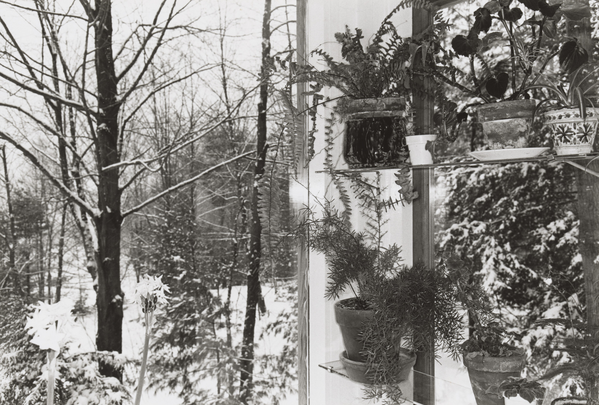 Lee Friedlander. Putney, Vermont