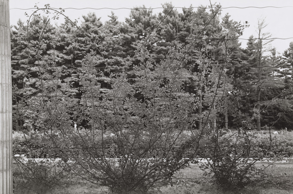 Saratoga Springs, New York