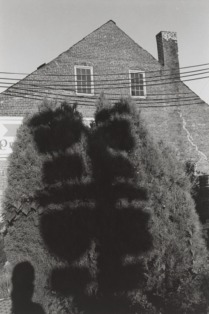 Virginia