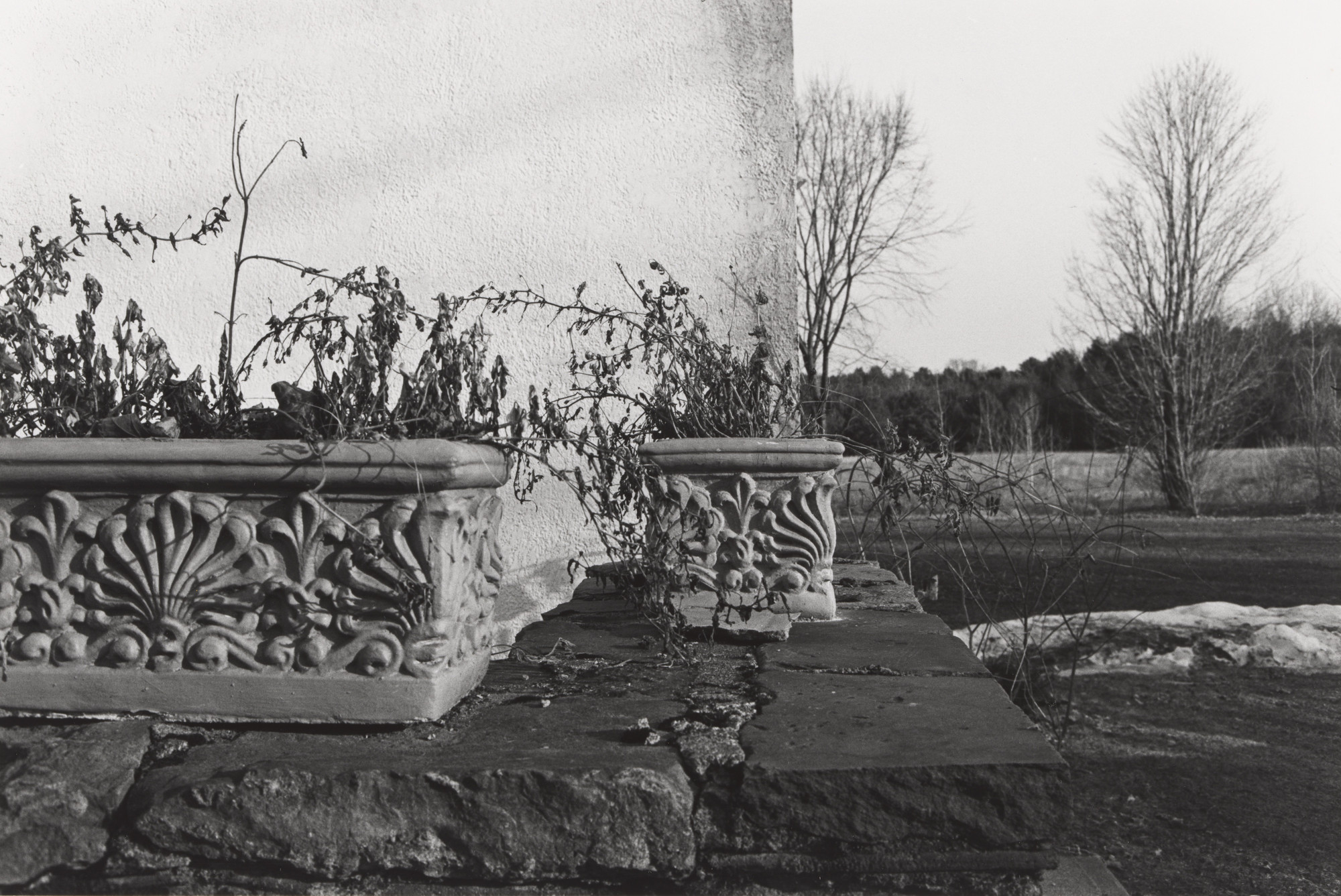 Lee Friedlander. Saratoga Springs, New York