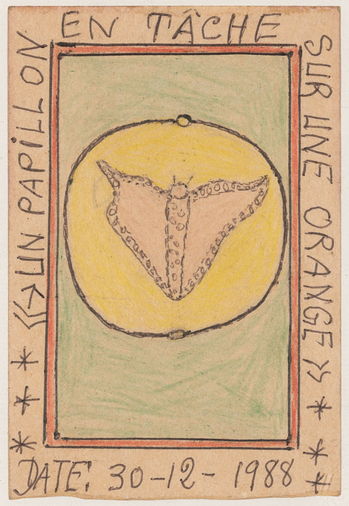 «Papillon en tâche sur une orange» Date : 30-12-1988 from Connaissance du Monde