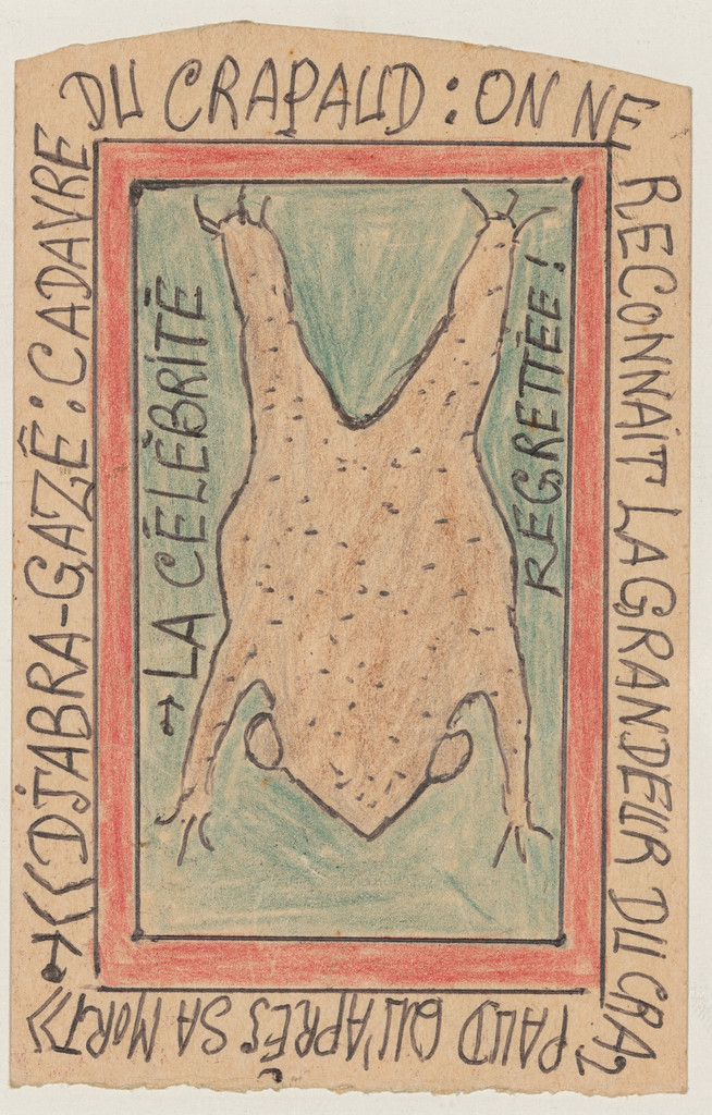 «Djabra-Gazê: cadavre du crapaud: on ne reconnaît la grandeur du crapaud qu'après sa mort» "La célébrité regrettée" from Connaissance du Monde