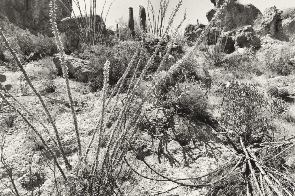 Arizona