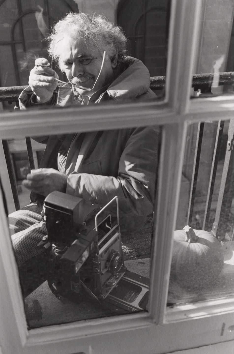 Lee Friedlander. John Coplans. New York City. 1982