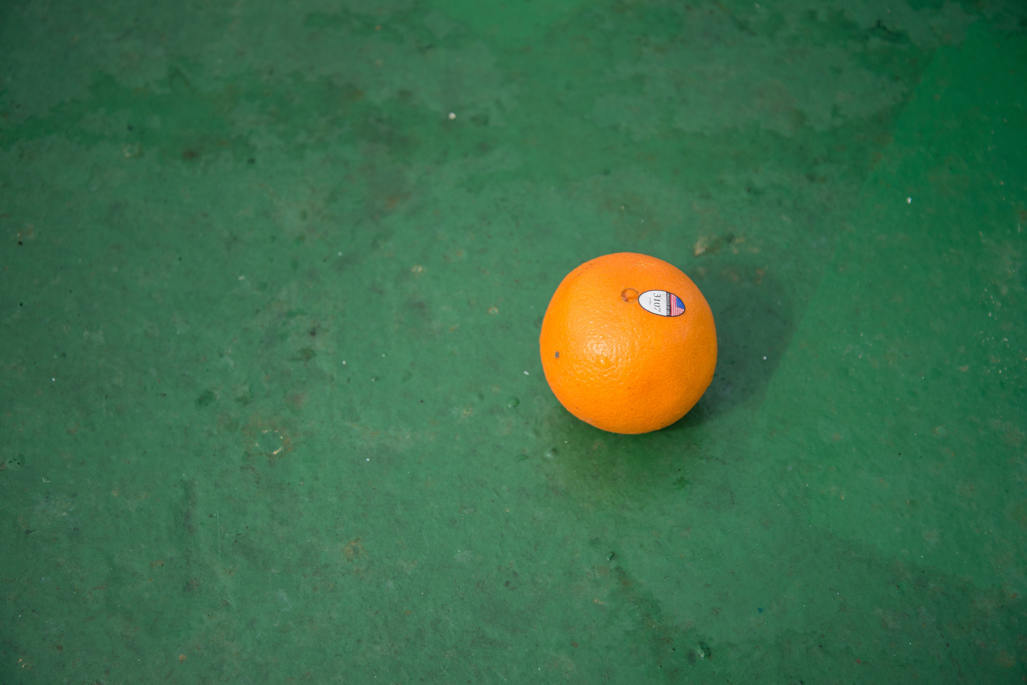 Enrique Ramírez. Ocean 33 ° 02&#39;47 &#34;S / 51 ° 04&#39;00” N. 2013