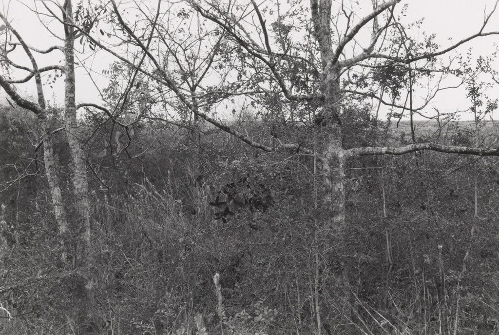 Texas, Lee Friedlander, 1977