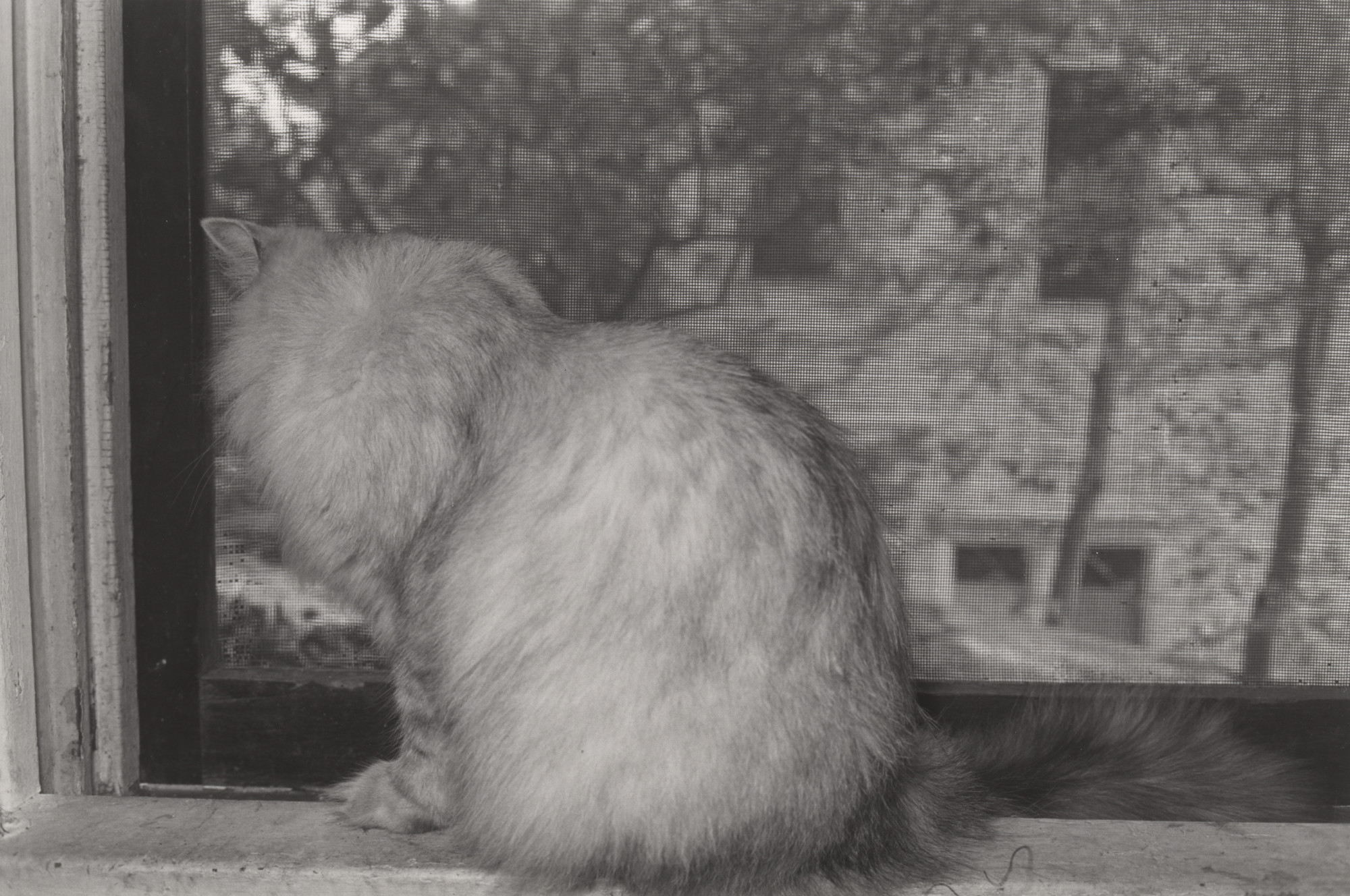 Lee Friedlander. Houston, Texas. 1977