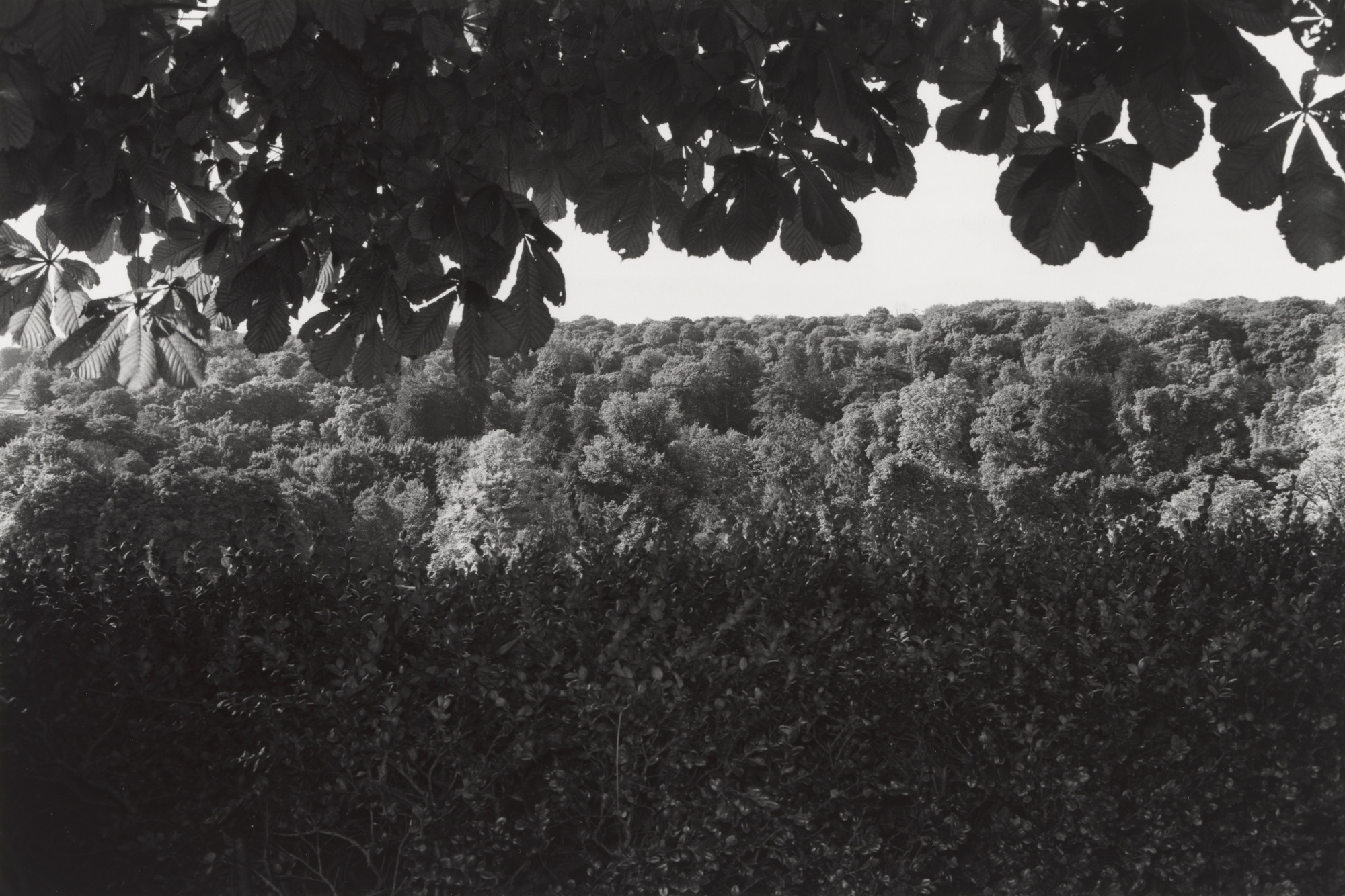 Lee Friedlander. Paris. 1978 | MoMA