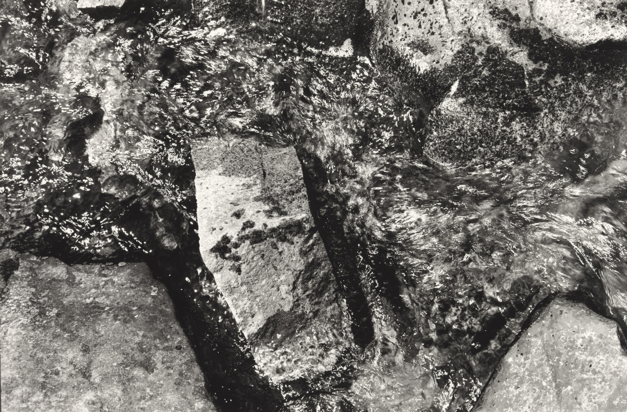 Lee Friedlander. Near Mount Rainier, Washington
