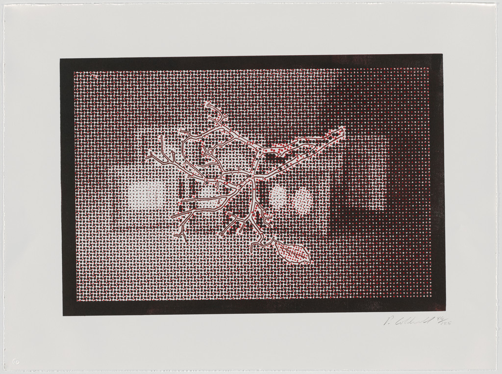 Frames, Branch & Leaf