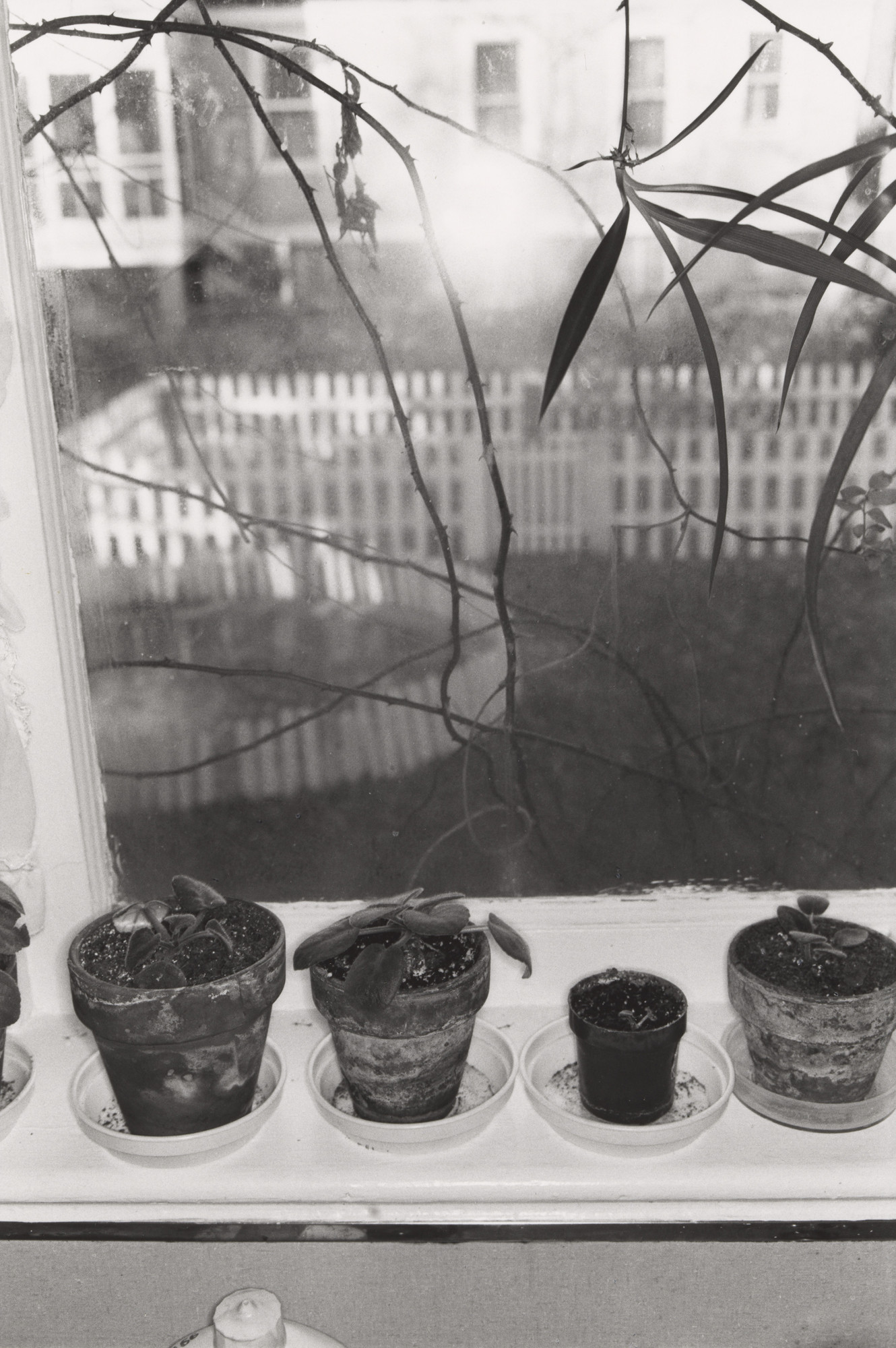 Lee Friedlander. Washington, D.C.