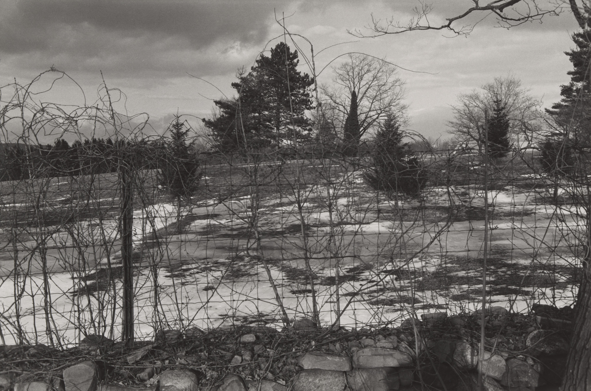 Lee Friedlander. Suffern, New York