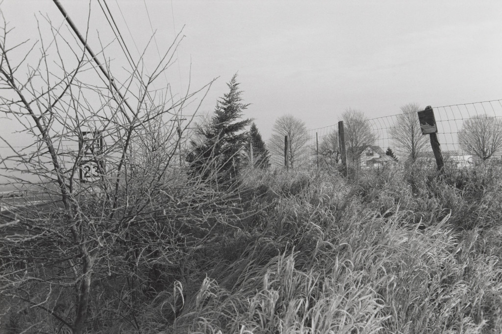 New York State, Lee Friedlander, 1976