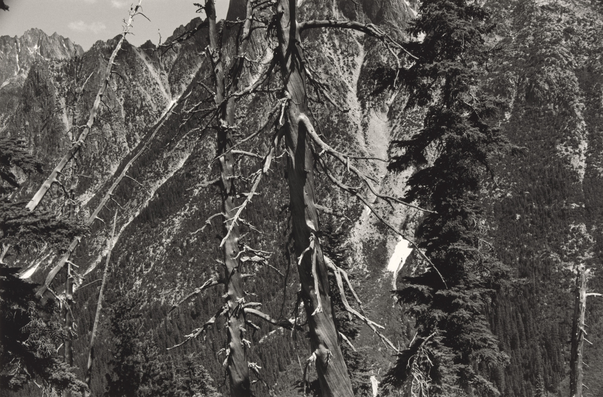 Lee Friedlander. Cascade Mountains