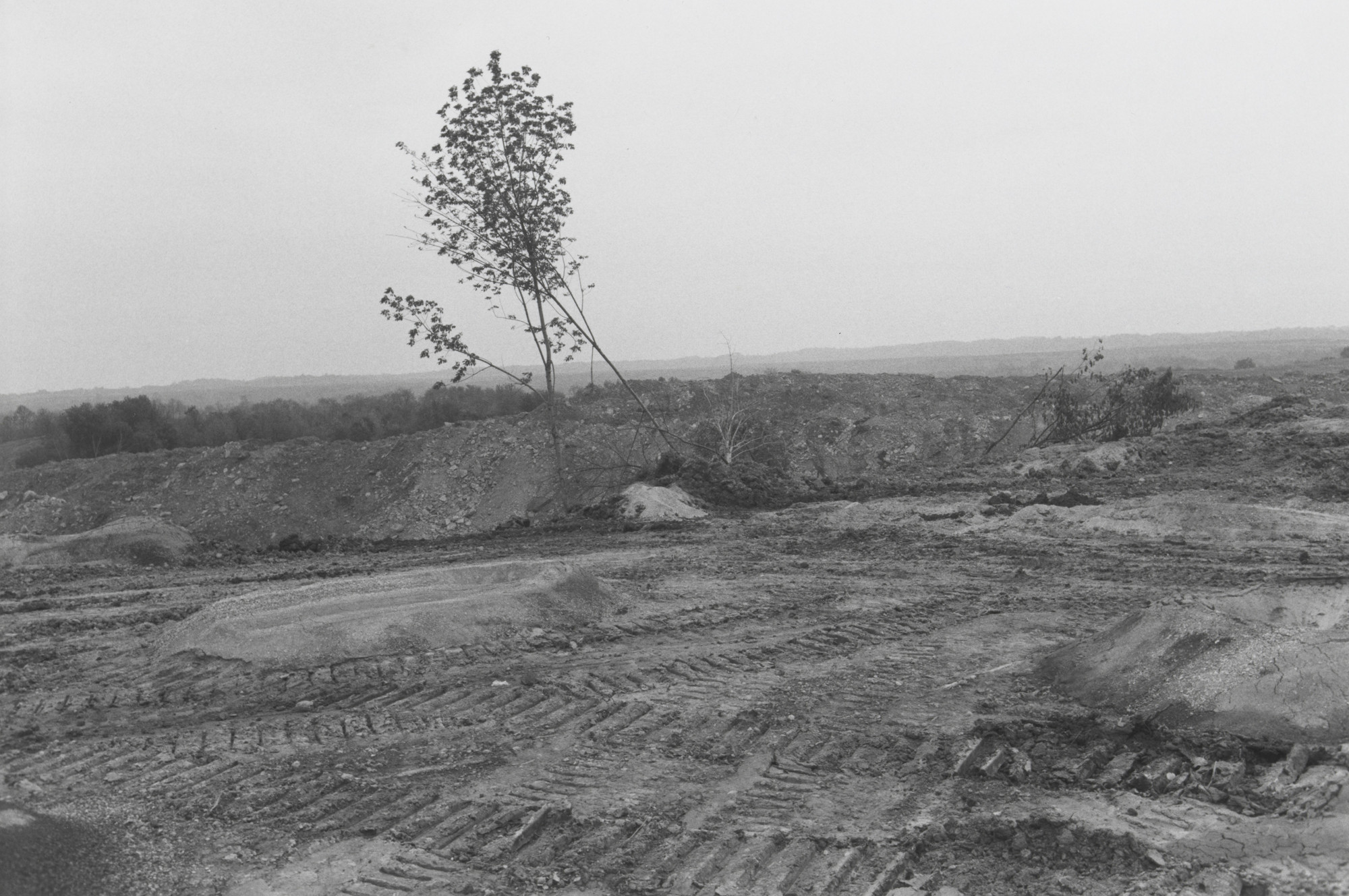 Lee Friedlander. Cadiz, Ohio