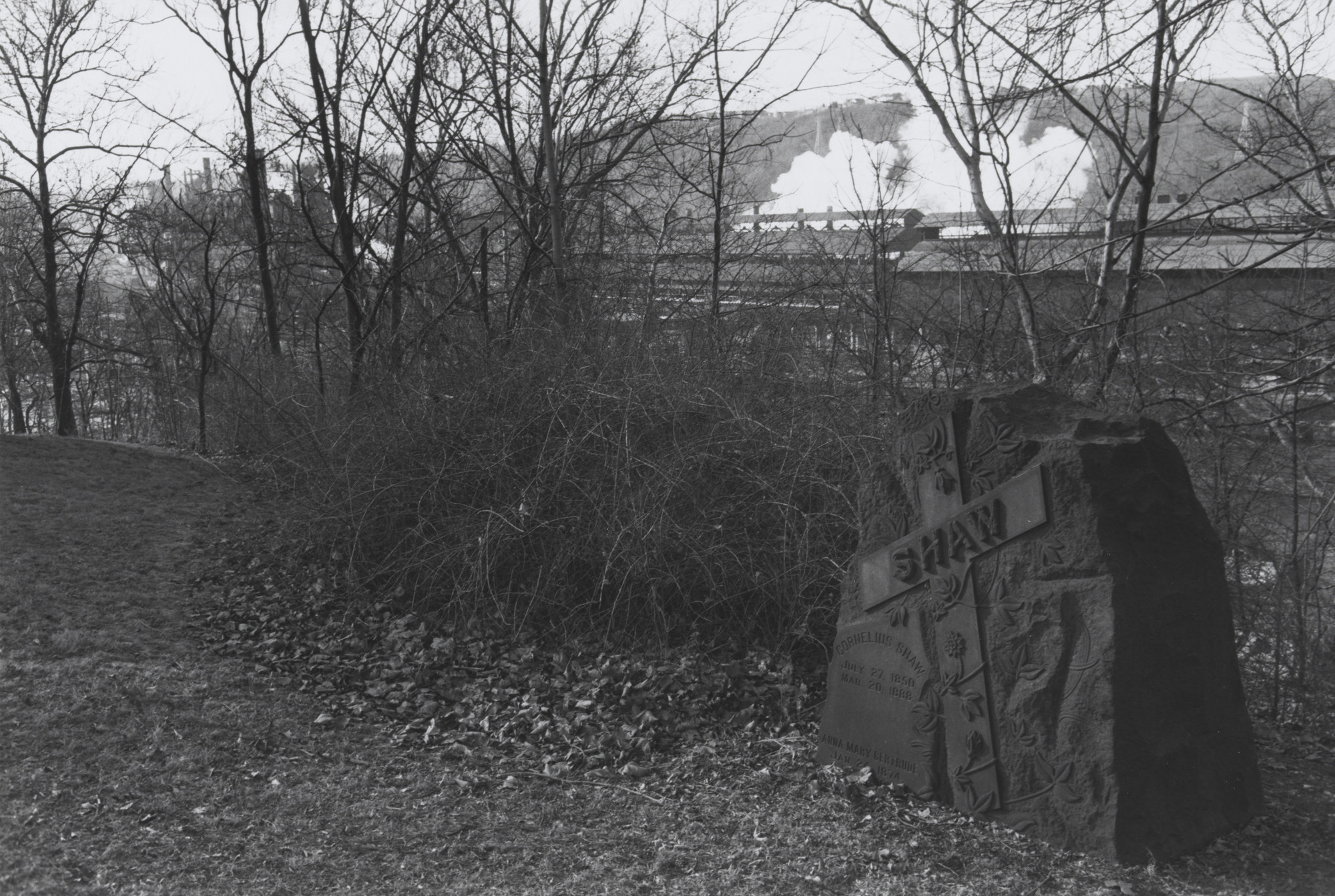 Lee Friedlander. McKeesport, Pennsylvania