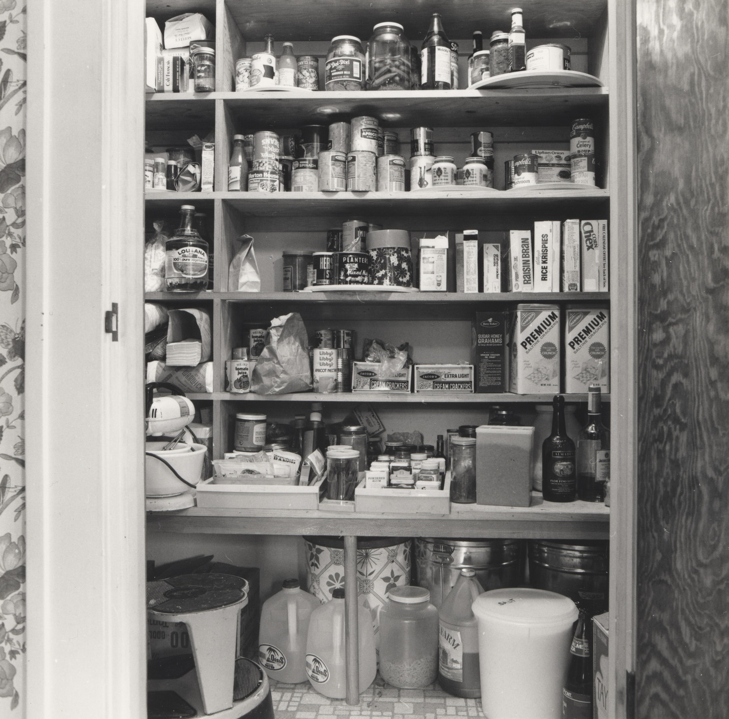 Joanne Leonard. Pantry, Kitchen, Austin, TX. 1980
