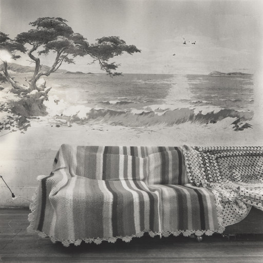 Joanne Leonard. Wall Mural, Living Room, Berkeley, CA. 1977
