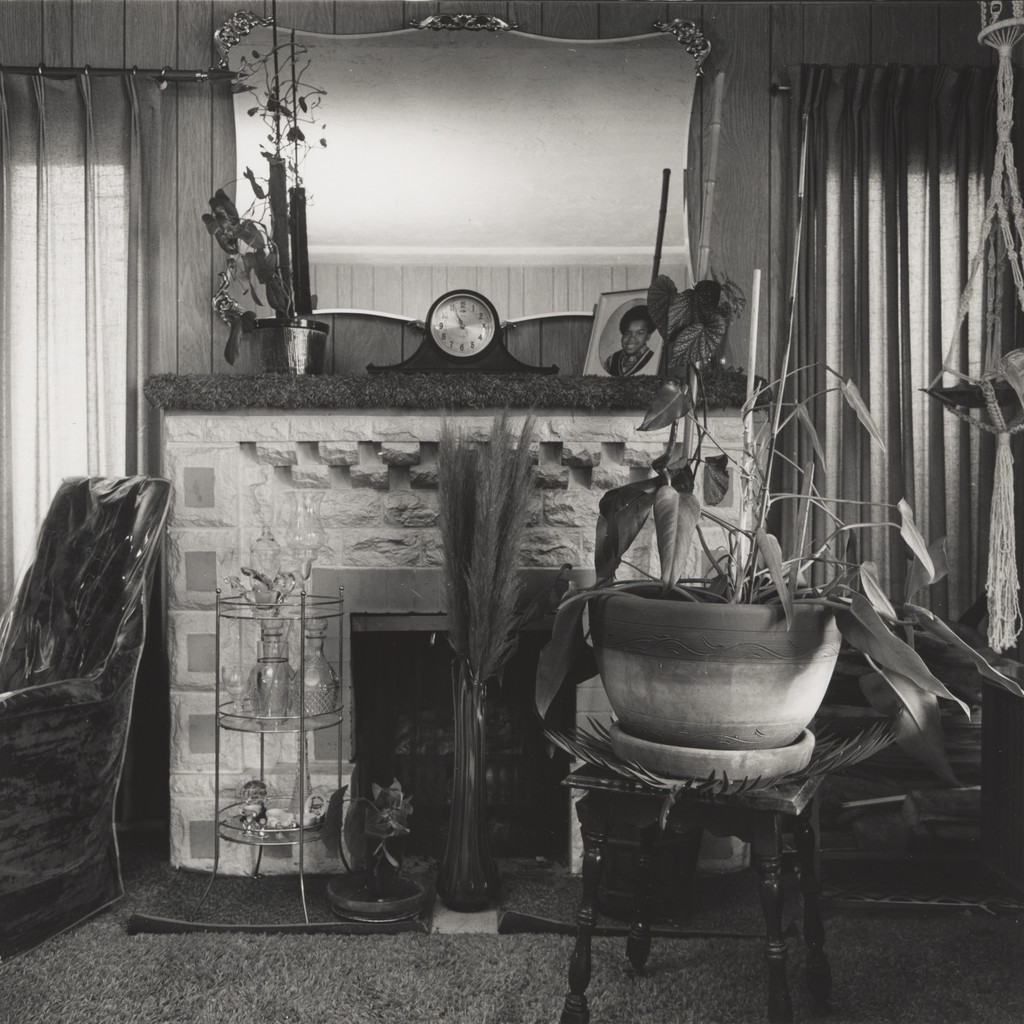 Fireplace and Plants, Living Room, Berkeley, CA