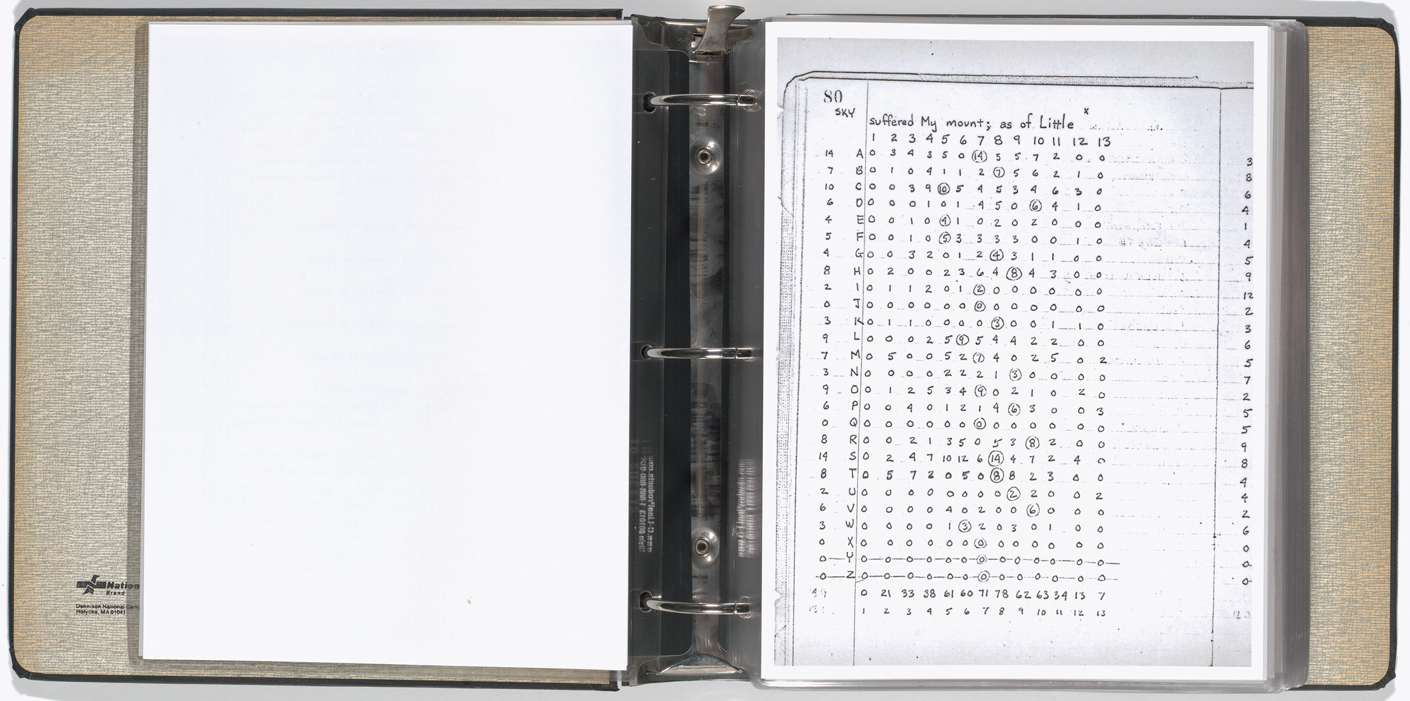 Mel Bochner, Carl Andre, Arthur Babakhanian, Jo Baer, John Cage, M. Carsiodes, Tom Clancy, Dan Flavin, James Ingo Freed, Milton Glaser, Dan Graham, Eva Hesse, Alfred Jensen, Donald Judd, Michael Kirby, William Kolakoski, Robert Lepper, Sol LeWitt, Robert Mangold, Robert Moskowitz, Tom Russell, Scientific American, Robert Smithson, Kenneth Snelson, Karlheinz Stockhausen, Tippetts-Abbett-McCarthy-Stratton (Engineers and Architects), Various Artists. Working Drawings and Other Visible Things on Paper Not Necessarily Meant to be Viewed as Art. 1966
