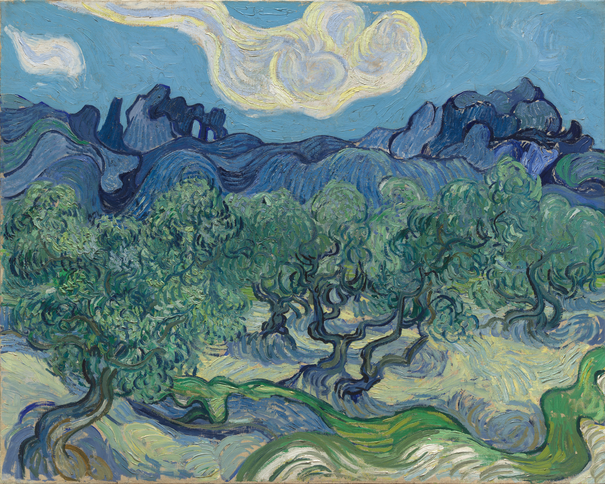 Vincent van Gogh. The Olive Trees. Saint Rémy, June-July 1889 | MoMA