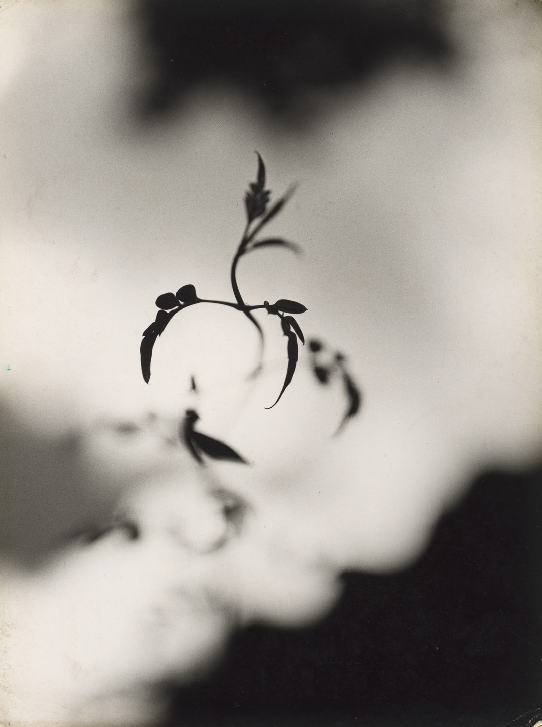 Dulce Carneiro. Oneiric (Onírica). c. 1958