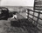 Jo Spence, Terry Dennett. Remodelling Photo History. 1981-82