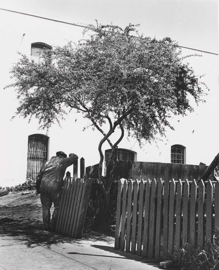 Man Leaning on Fence, Lewis St., West Oakland, CA