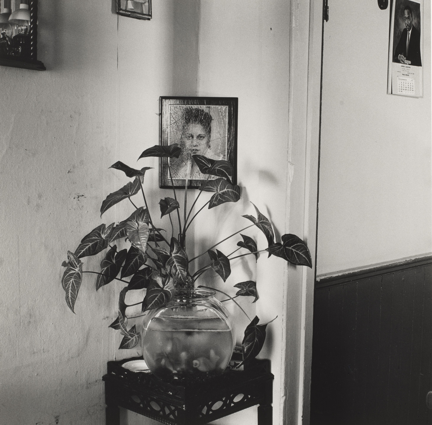Joanne Leonard. Portrait, Plant, and Fishbowl, Corean's Home, West Oakland, CA. 1970
