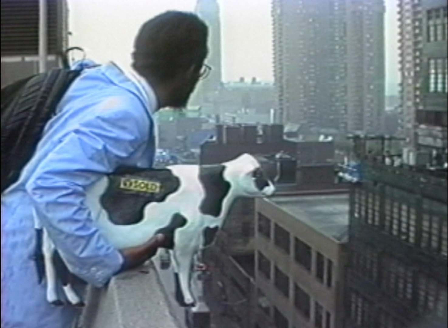 Pope.L. Black Domestic a.k.a. Cow Commercial. 1994
