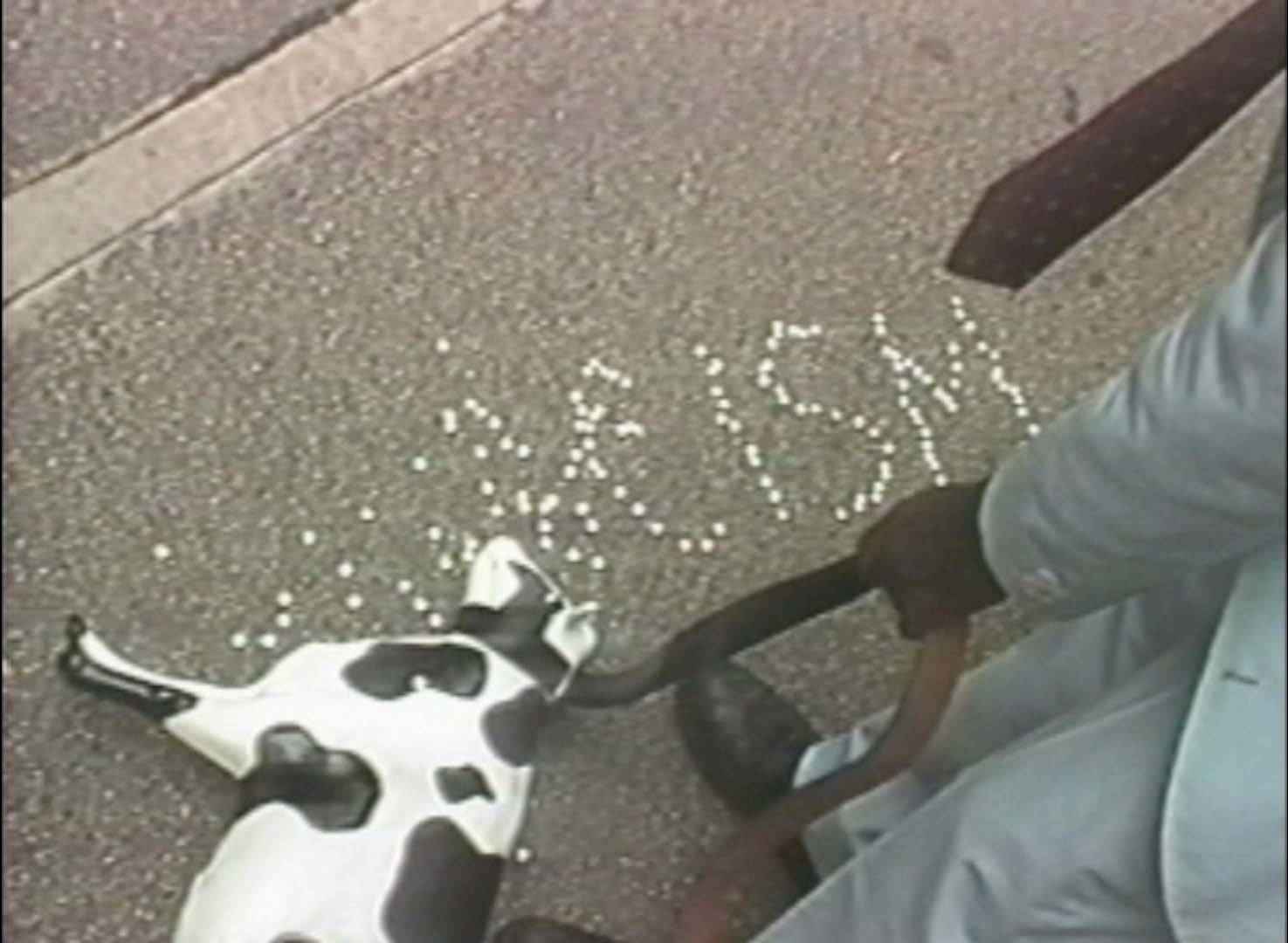 Pope.L. Black Domestic a.k.a. Cow Commercial. 1994