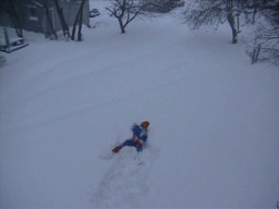 Pope.L. Snow Crawl. 1991-2001