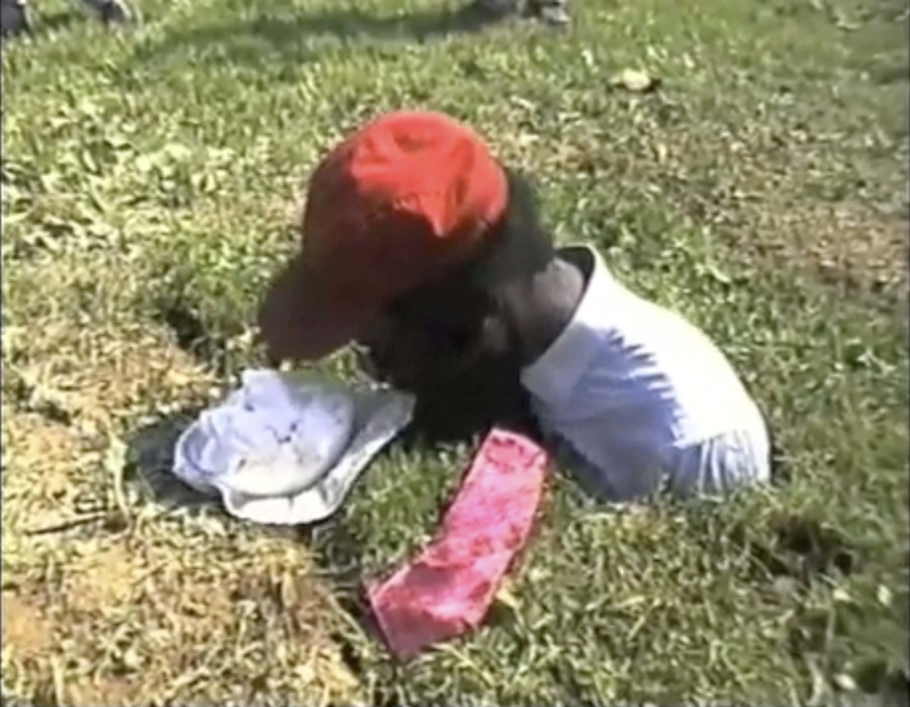 Pope.L. Sweet Desire a.k.a. Burial Piece. 1996