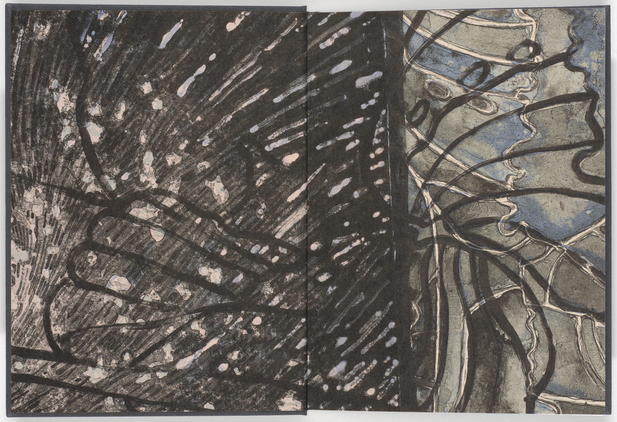 Jasper Johns A Retrospective MoMA 回顧録 新品 Jasper Johns: 【公式