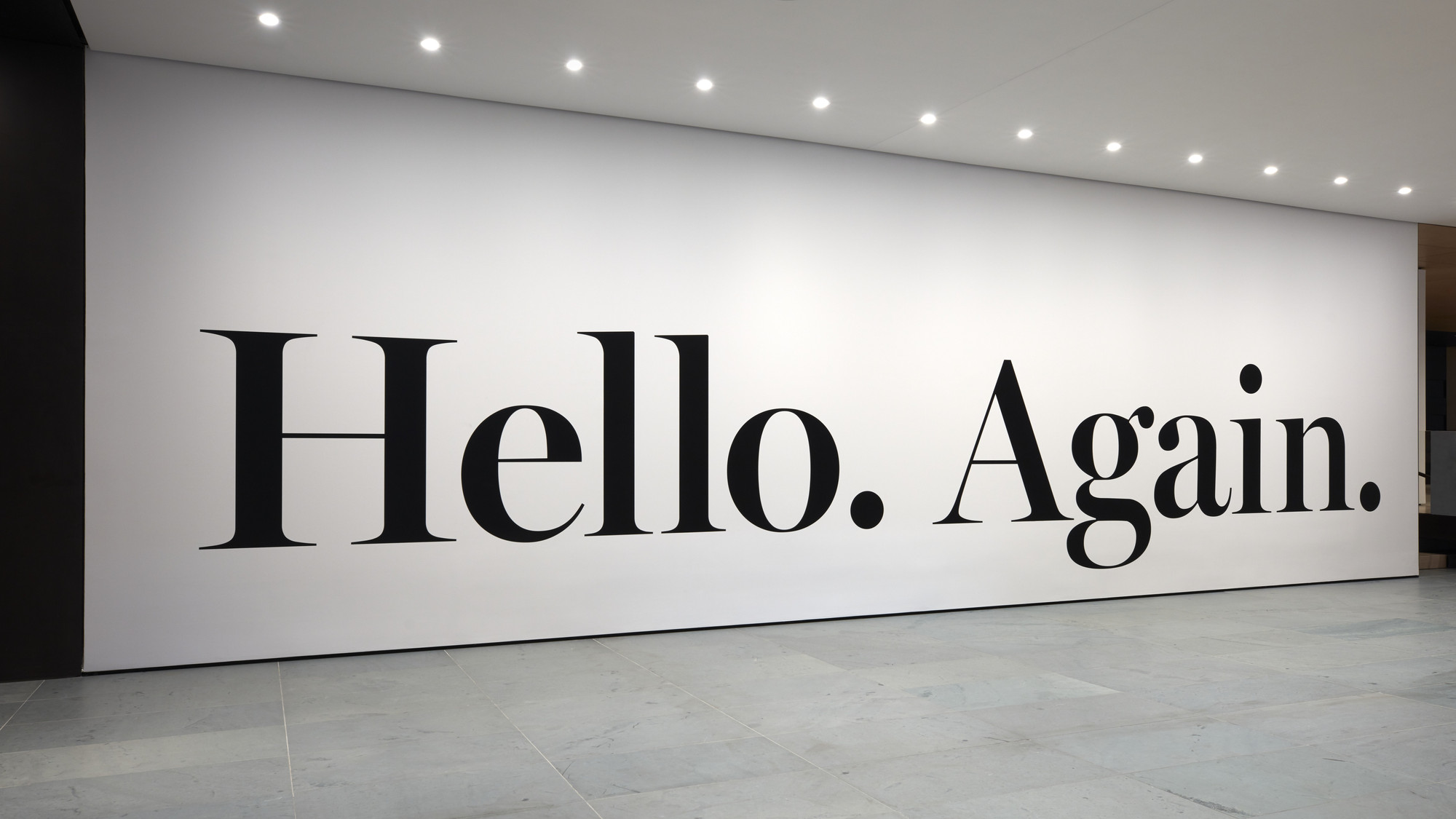 Haim Steinbach. hello again. 2013
