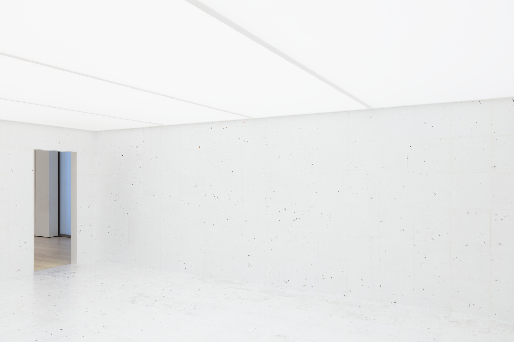 Rivane Neuenschwander. Work of Days. 1998