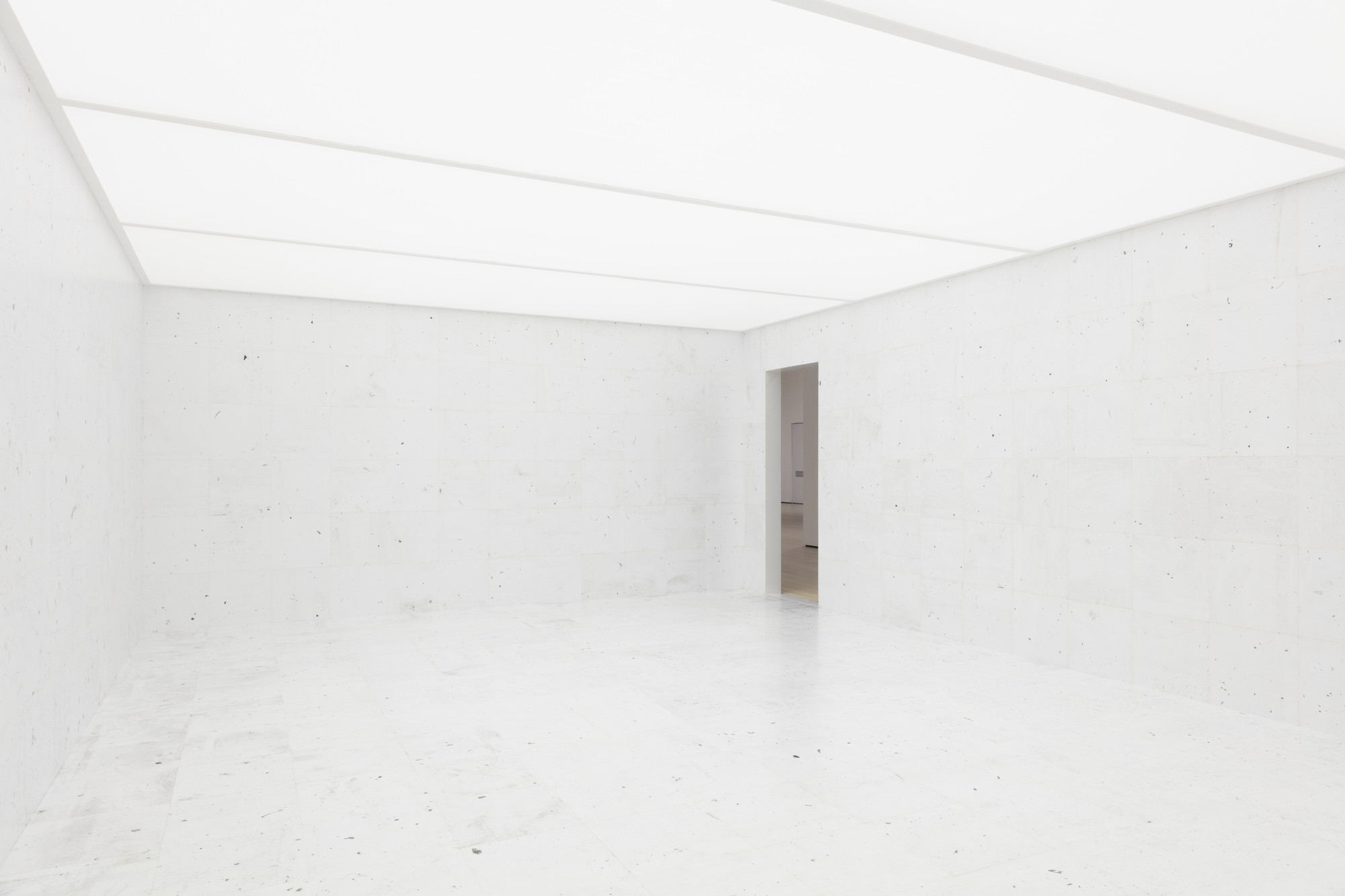 Rivane Neuenschwander. Work of Days. 1998