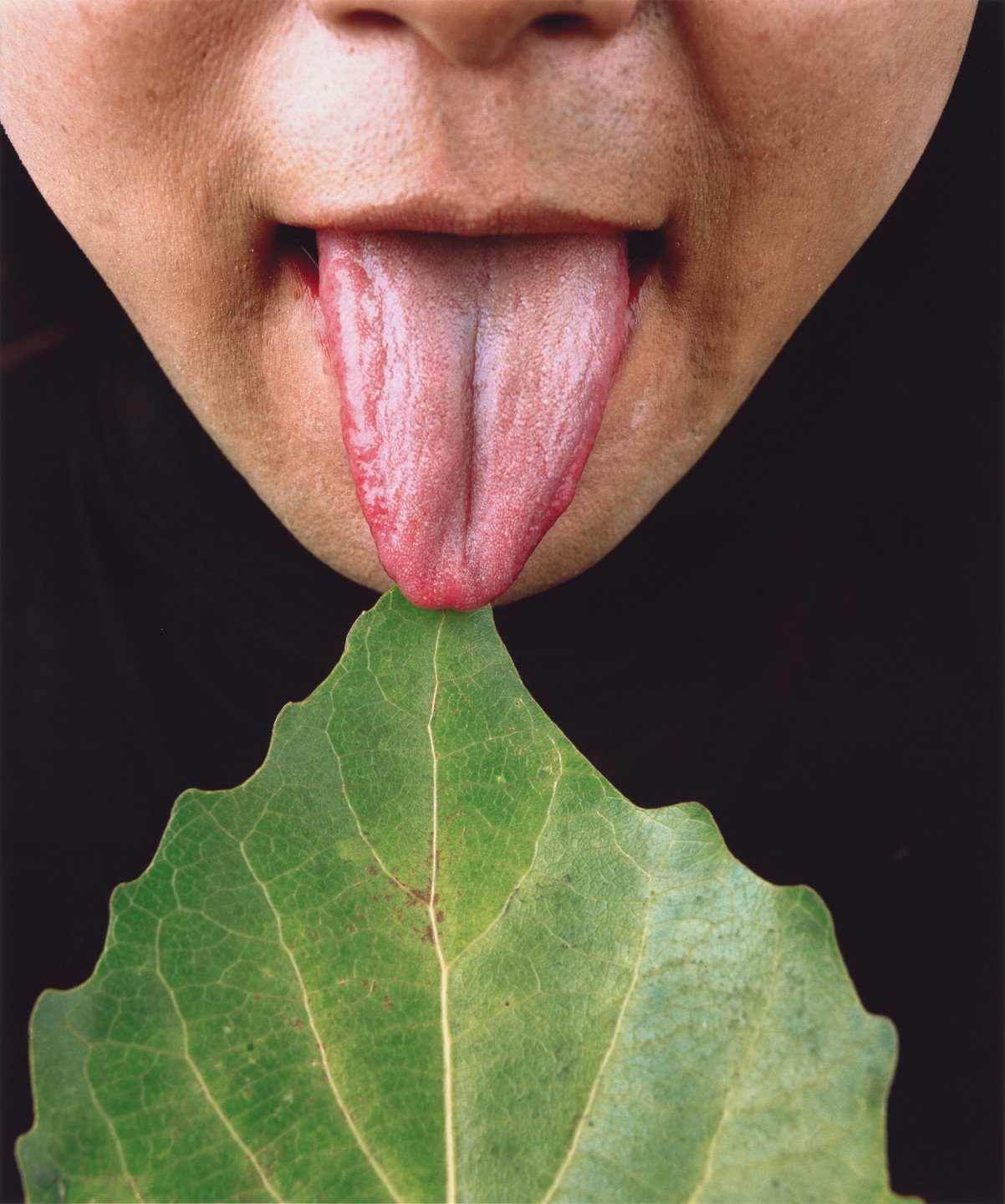 Cang Xin. Untitled from Communication Series. 1999