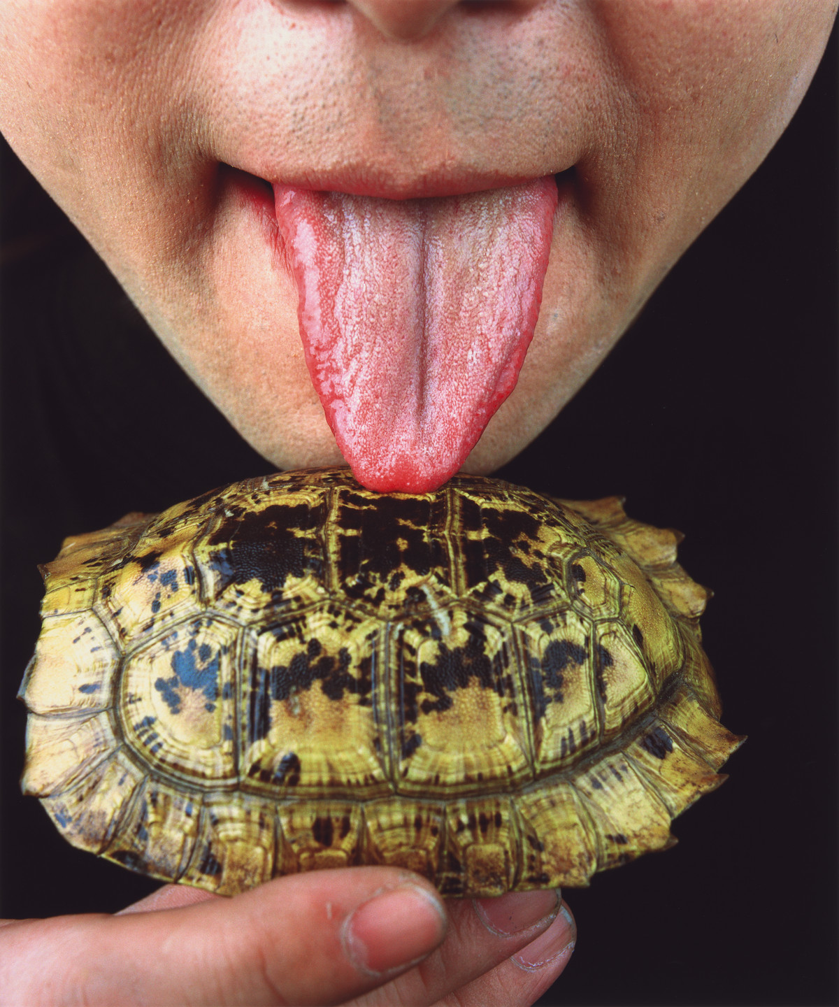 Cang Xin. Untitled from Communication Series. 1999