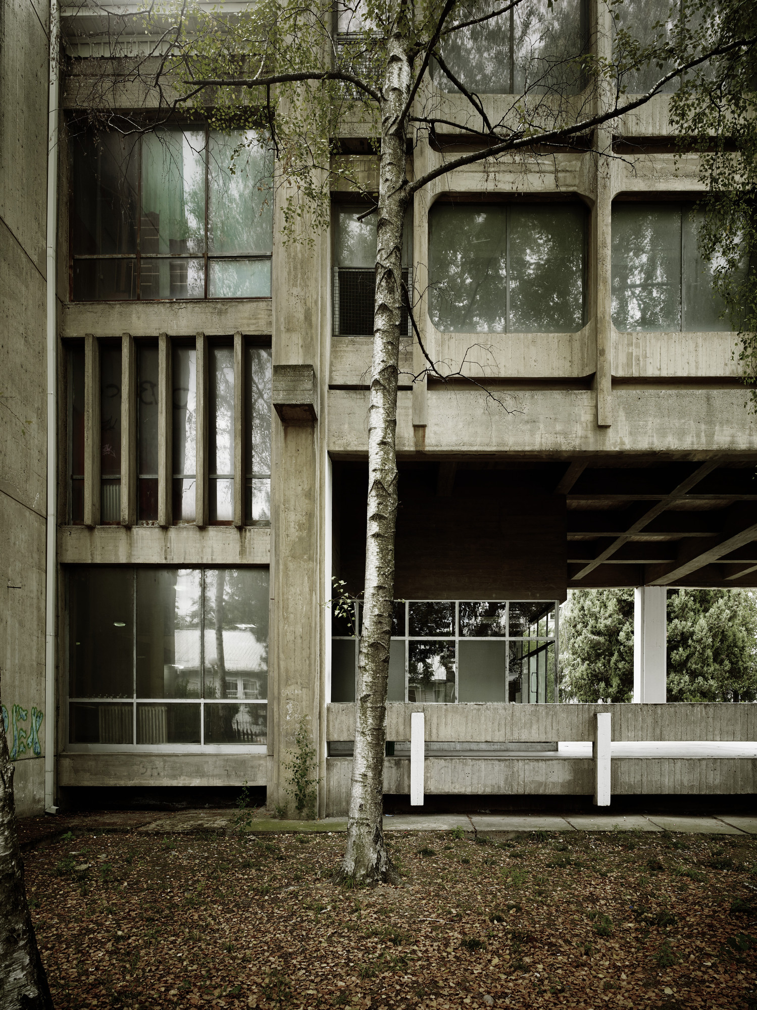 Valentin Jeck, Janko Konstantinov. Medical High School, Skopje, Macedonia
