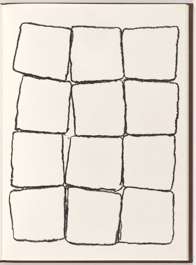 Plate (folio 21) from Pietre Foglie