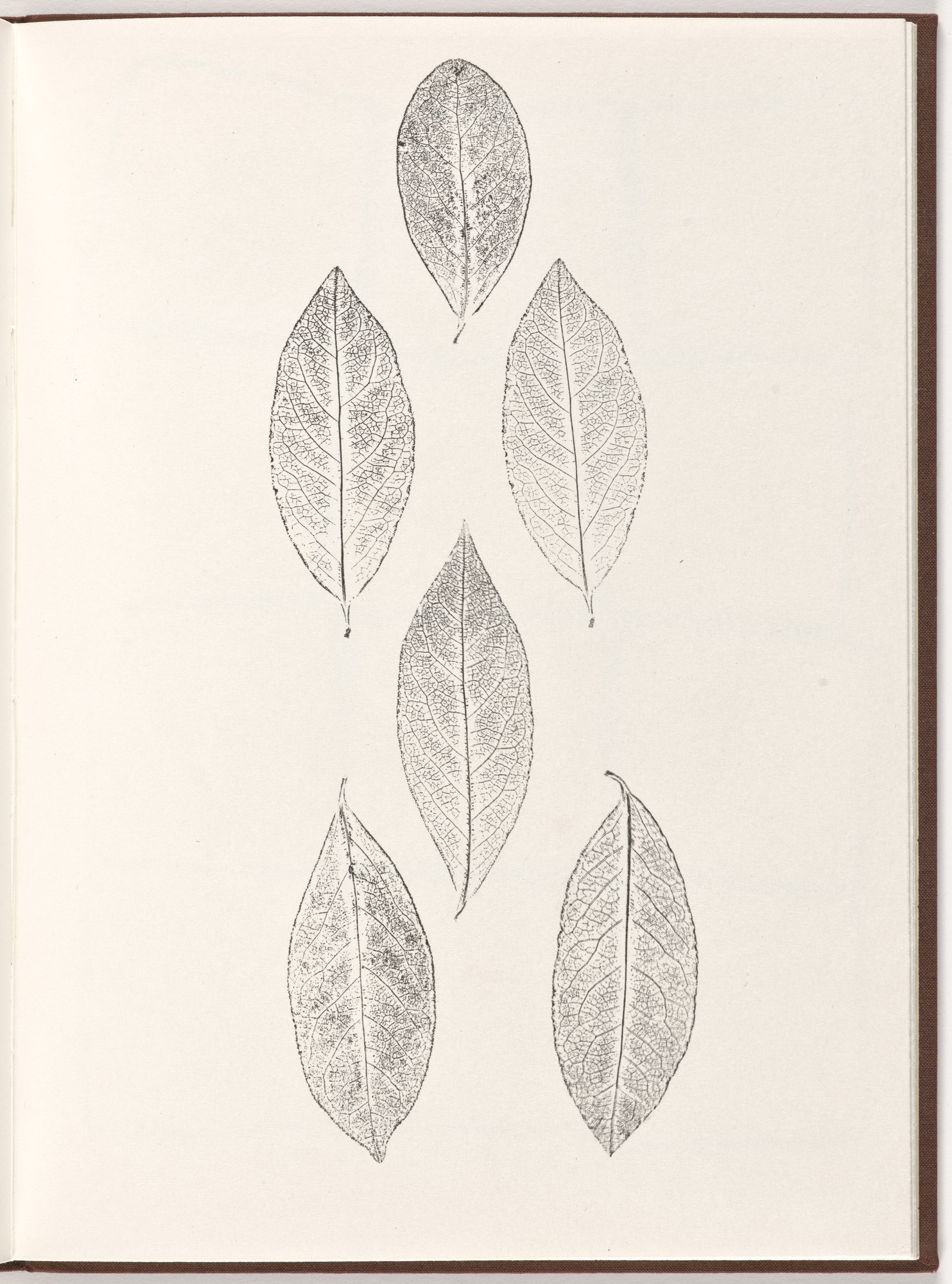 Ana Mendieta, Carl Andre. Plate (folio 22) from Pietre Foglie