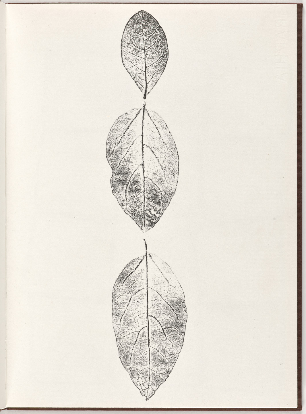 Ana Mendieta, Carl Andre. Plate (folio 6) from Pietre Foglie. 1984