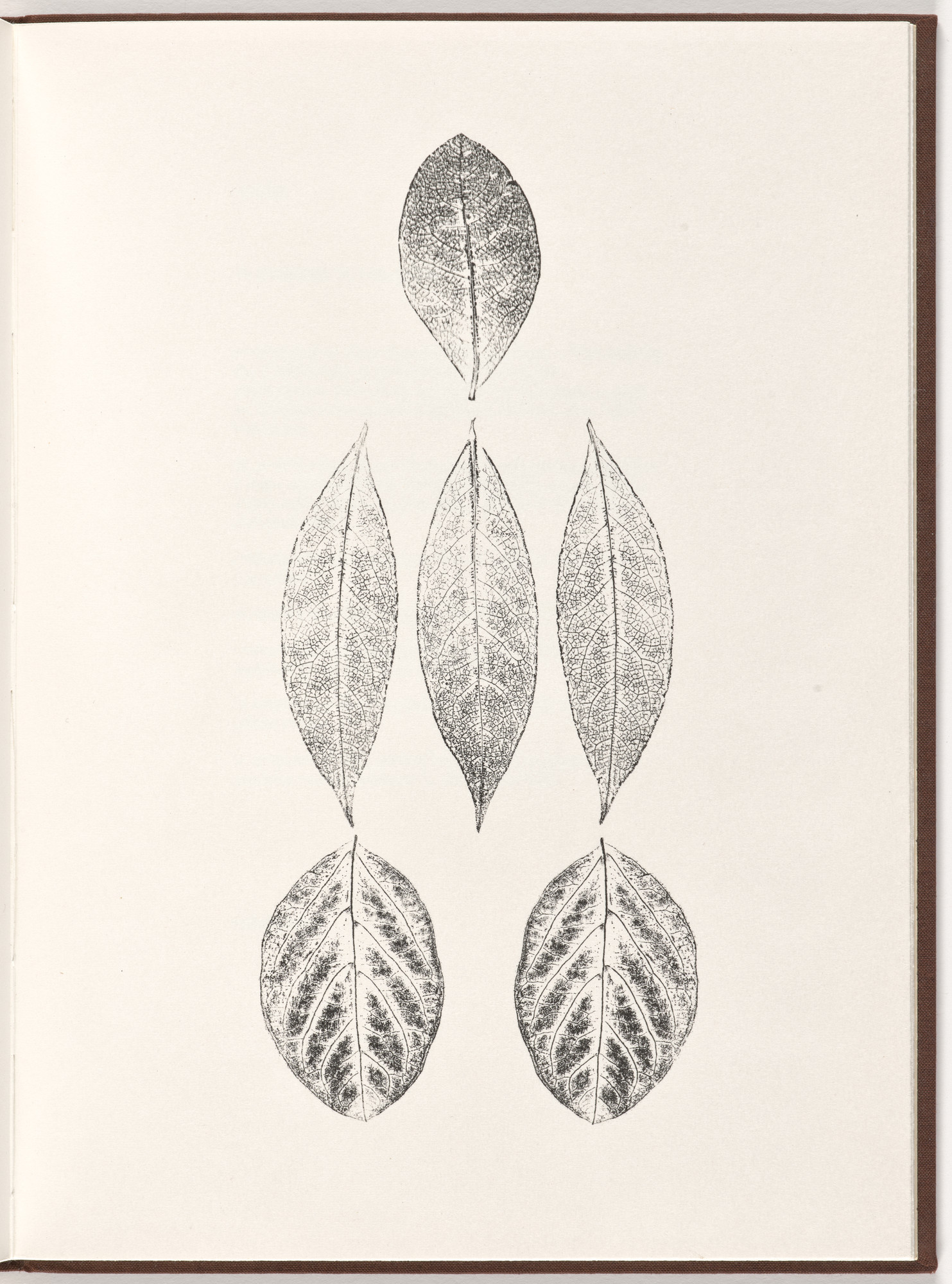 Ana Mendieta, Carl Andre. Plate (folio 24) from Pietre Foglie