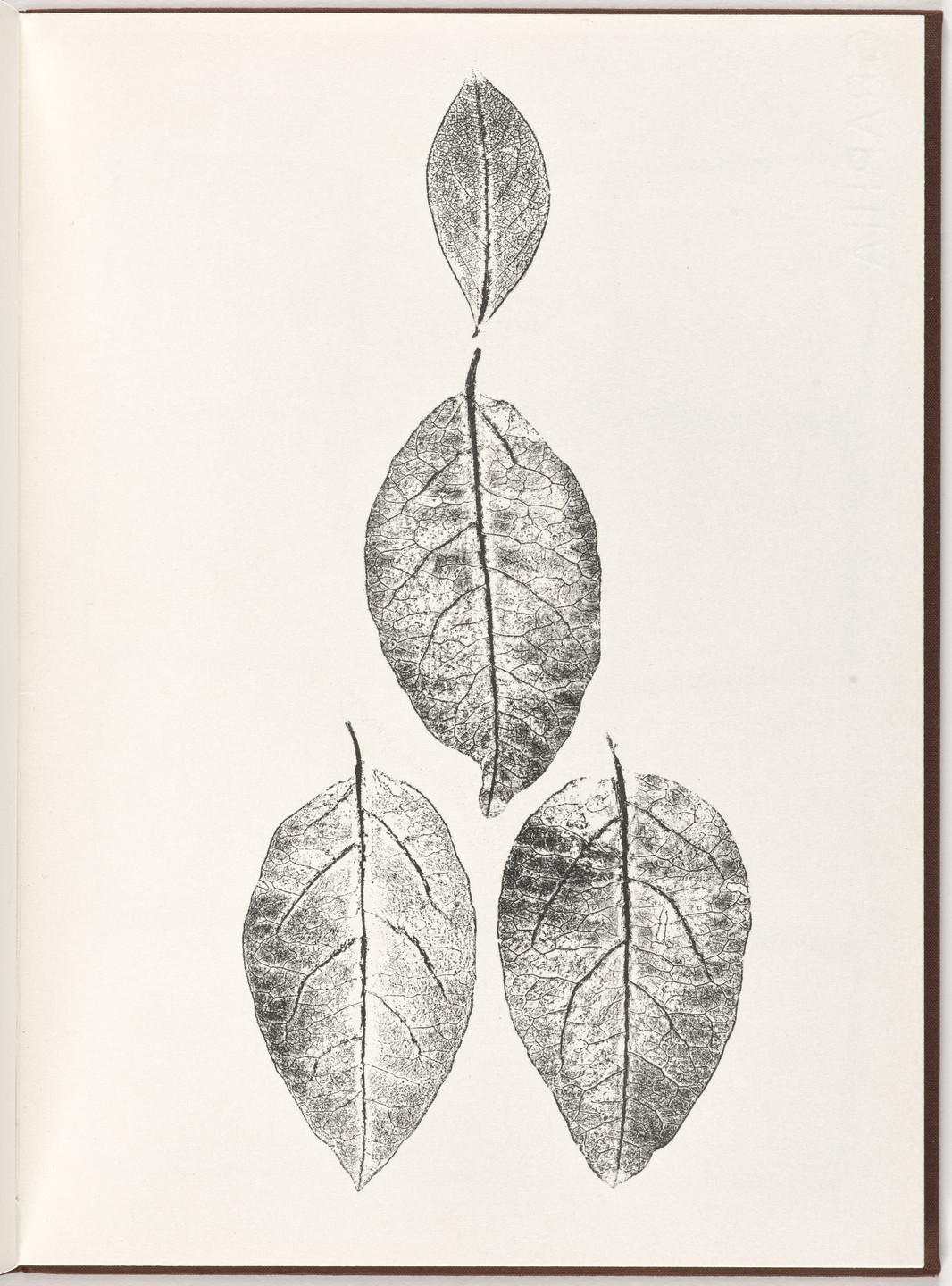 Ana Mendieta, Carl Andre. Plate (folio 8) from Pietre Foglie. 1984