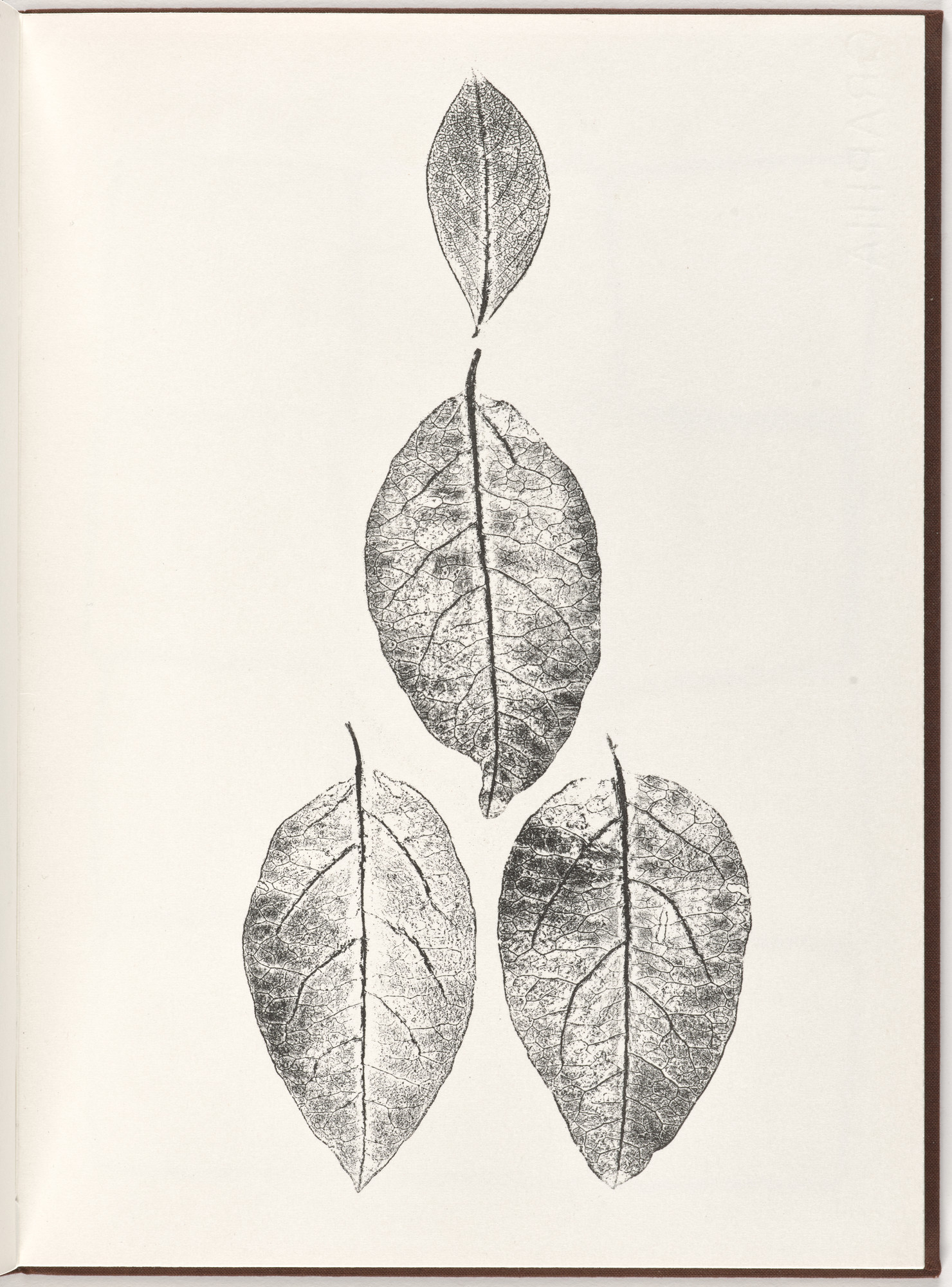Ana Mendieta, Carl Andre. Plate (folio 8) from Pietre Foglie
